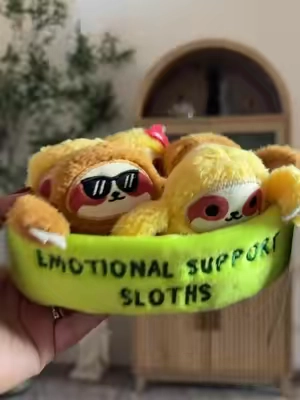 How adorable are these little friends.  #emotionalsupportpals #sloth 