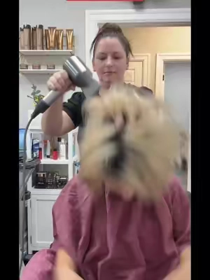 She makes my hair too big! #HairGoals #colorwow #bighairdontcare #TikTokShopDeals #tiktokshop 