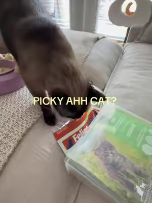 We love chicken and lamb. Check for coupons or something it will just pop as ad with 50% off and only gives you 20 min to buy. If you click off it the deal disappears. @K9 Feline Natural #CapCut 