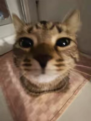 bg: @kitty asmr #zyxcba #fyp #coraline #hairclip #waxcracking 
