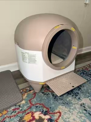 so much better! #warcatpro #automaticlitterbox #litterboxhack #litterboxtips 