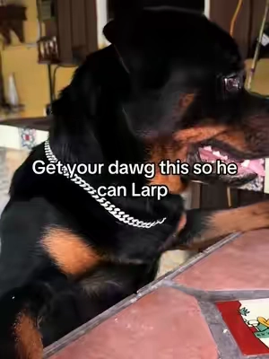 7669883257063804191