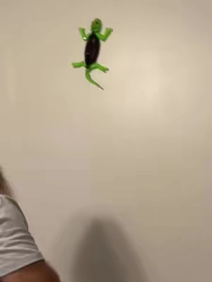 #rcrockcrawler #rc #wallcrawlergecko #gecko #remotecontroltoy 
