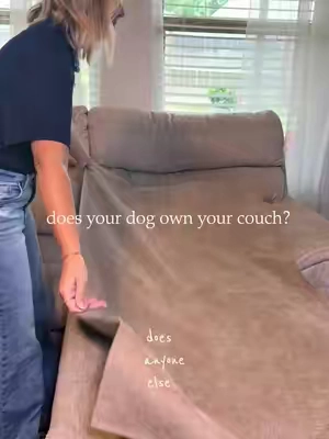 does your pet own the couch, too?? 
