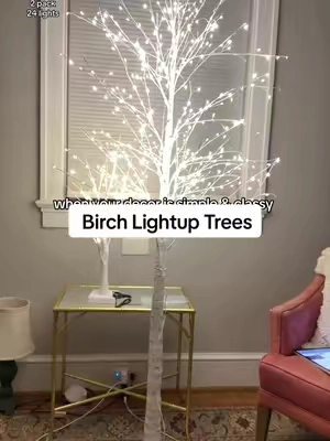 Absolutely STUNNING trees!! @HOODINK #hoodink #birchtrees #lightuptree #holidaydecor #homedecor 