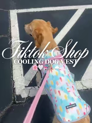 Cooling dog vest 🌸🤍💒🧘🏼‍♀️☁️#fyp #dogvest #dogclothes #dogclothing #dogaccessories 