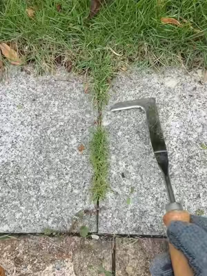 Do you still use butter knife,screwdriver and propane torch for this type grass in crevice? Rock #crevicetool#magictools#drivewaycracksgrass#DealsforYouDays#summerwins