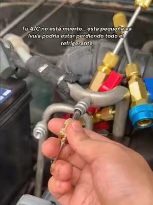 Repara fugas de refrigerante del aire acondicionado más rápido con esta herramienta para quitar e instalar válvulas Schrader sin desperdiciar refrigerante. Ideal para reparación de A/C automotriz, mantenimiento HVAC y trabajos DIY. Compatible con sistemas R22, R12, R407, R410, R404, R32 y R600 con puertos SAE 1/4 y 5/16.AC valve core remover tool, herramienta para válvula de aire acondicionado, herramienta de reparación A/C carro, herramientas HVAC, herramientas para mecánicos#DealsForYouDays #SummerVibes #reparaciondeautos #herramientasHVAC #mecanico 