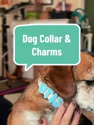 💙 The personalized name, adorable accessories, and waterproof design make it as practical as it is aesthetic. If you’re obsessed with spoiling your pup, this is one of those finds you’ll wish you grabbed sooner. ✨ #DogCollar #PersonalizedDogCollar #DogAccessories #DogMom #PetFinds  