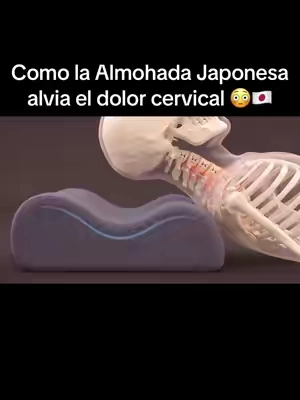 ¿Tienes mala postura al dormir, papada, escoliosis o dolor de cuello? Esta almohada ergonómica es para ti😴💤 #almohada #dolordecuello #papada #almohadacervical #dormirbien