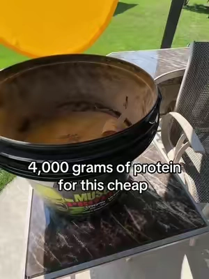 Buy in bulk #protein #gym #lifting #proteinpowder #viral 