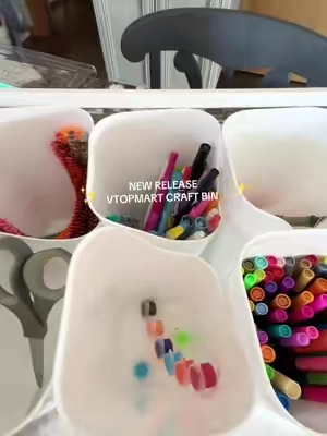 Brand new craft bins from @Vtopmart 