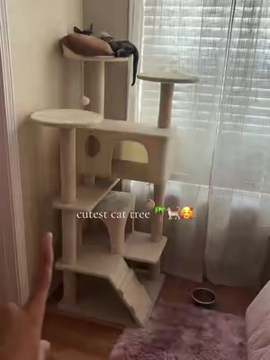 my babies lovee it #cattree #kittentok #cattoy 