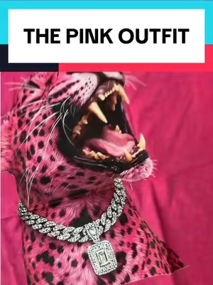 I like the match #OOTD #anta #pink