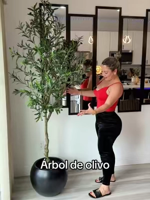 En este video te muestro mis 5 árbol de olivo #ladoñita #hoga #arboldeolivo #olivo #arbol 