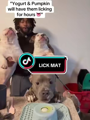 Best way to keep ya dogs busy 🐶✅ #fyp #viral #dogs #dogsoftiktok #lickmat 