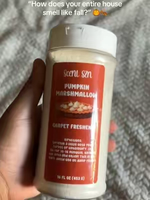 Obsessed with this scent!!!!!!’ #fallscents #pumpkinspiceseason #fallaesthetic #carpetfreshener #foryoupage 
