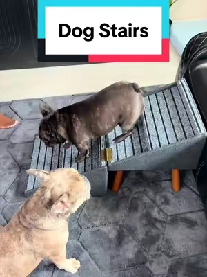 For those puppies or older dogs, hope this helps! #dogstairs #puppylife #olddog #olddogproblems #dogramp 