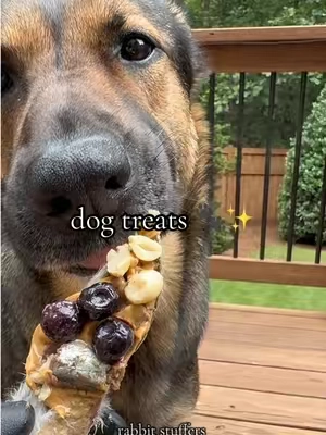 rabbit boats 🐰🐕🤤 #pettreats #dogtreats #dogsnacks #Foodie #PetsOfTikTok 