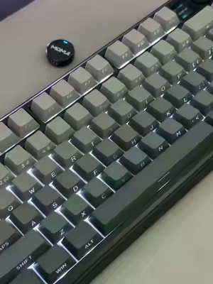 POV: You’re Addicted#keyboard #aulaf75max #gamingkeyboard #graykeyboard #office 