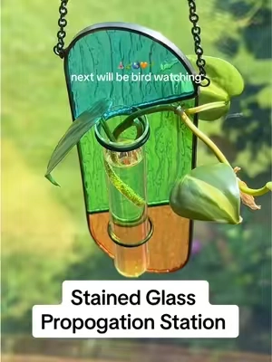 loving the flowers in the window idea too 🤔.             #propogation #plants #PlantTok #planting #stainedglassart 