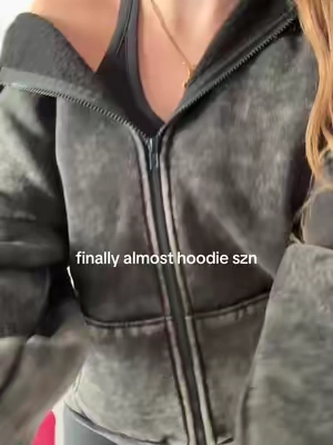 a hoodie that hoodies 