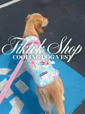 Cooling dog vest 🌸🤍💒🧘🏼‍♀️☁️#fyp #dogvest #dogclothing #dogclothes #dogaccessories 