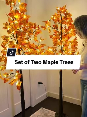 The single maple trees sold out, but the set of two 6-foot maple trees is still available! 🍁 These pre-lit maple trees with built-in timer lights are the easiest way to decorate your front porch, entryway, patio, or indoor space for fall. They look beautiful during the day and even more magical at night. #FallDecor #MapleTree #FrontPorchDecor #FallPorch #AutumnDecor  