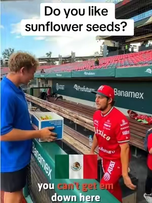 Do you like sunflower seeds? @Trevor Bauer @DiablosRojosMX 