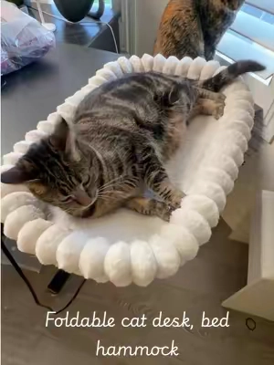 🐱💻 This clamp-on Cat desk bed gives your cozy coworker their own official spot right at eye level. It secures firmly to your office desk or setup, holds up to 40 lbs, and folds up 90° out of the way whenever you need extra room. Plus, the plush fleece cover zips right off for easy washing. #catdeskbed #catbed #catlover #cathammock #tiktokshopcreatorpicks 