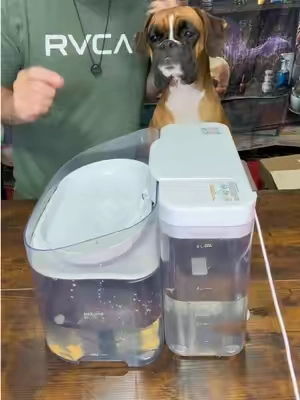 Automatic pet water dispenser 11 L #T#TikTokShopSummerSales#summerwinsp#petsd#dogsp#petowners