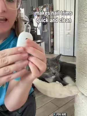 These nail clippers get the job done quick and easy and I love how they store the nails too. #catnailtrim #catnails #catcare #catlover #catnecessities 