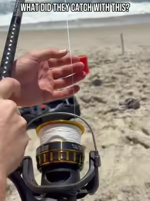 Droning Giant Bait on Beach 