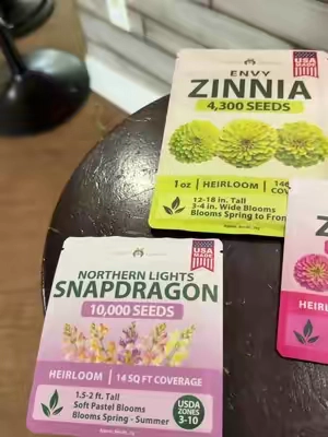 #garden #seeds #zinnias #zinnia #snapdragon USA, homegrown seeds