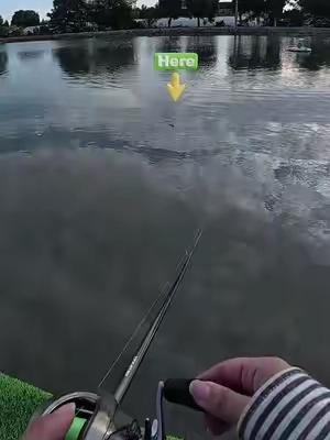 If you’re into fishin’, check out this……setup 🎣🔥#FishingLure #BassFishing #BoysFishing #kingfishinghub  #tiktokshop #swimbait #foryoupage #frog #roboticlure #giftideas #fyp #bassfishing  #EXCROCK#Tiktokshopstockup#weeklydeals
