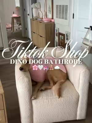 Dino dog towel 🌸🤍💒🧘🏼‍♀️☁️#fyp #dogtowel #dogbathrobe #doggrooming #dogbath 