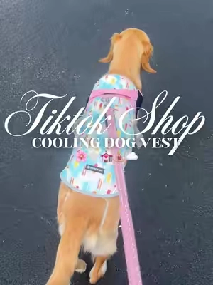 Cooling dog vest 🌸🤍💒🧘🏼‍♀️☁️#fyp #dogvest #dogclothing #dogclothes #dogaccessories 