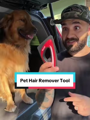 How do you remove pet hair? #pethairremoval #pethairbrush #doghairremoval #pethairremover #tiktokshopcreatorpicks 