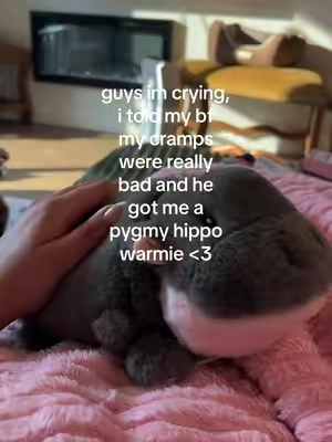 im sobbing hes so cute 😭🥺 @Warmies #honeybee #bf #boyfriend #warmies 