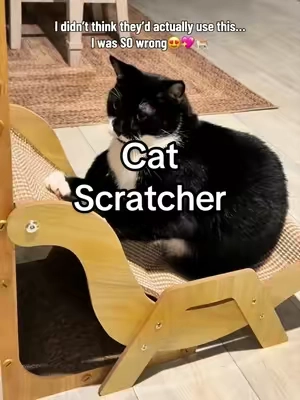 The purr-fect place to scratch, lounge, and nap.💖#catsoftiktok #catscratcher #catslovers 