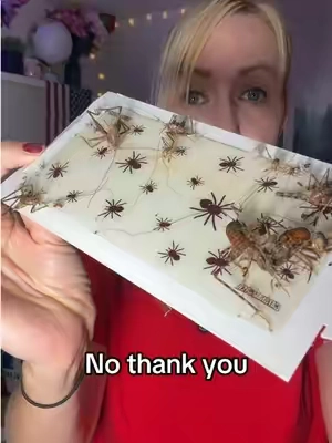 want to get rid of spiders and other crawling insects in your house? Use the Terro indoor bug control sticky traps. 