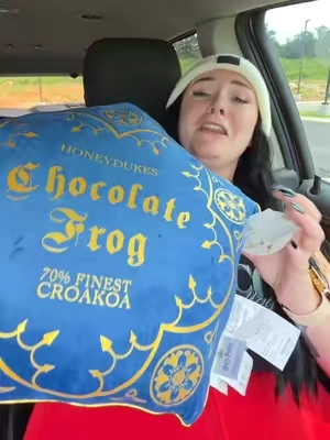 best gift for myself ever 😍 #giftsforher #falldecor #pillows #harrypottermerch #homedecor   Harry Potter gift cute fall pillows fall pillow couch pillows chocolate frog pillow cushion gifts for her