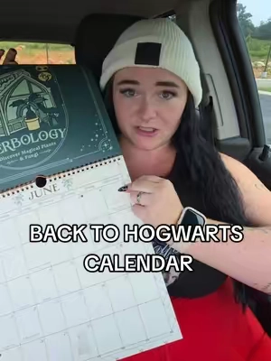 may be delulu but draco's my fave 🤷‍♀️💗 #backtoschool #calendar #TikTokshopbacktoschool #backtohogwarts #dracomalfoy  back to school must haves back to school calendar Harry Potter calendar back to Hogwarts forgot his birthday Christmas gift for her