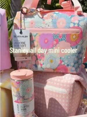 Newest drop from @Stanley 1913 just in time for back to school these lunchbox mini coolers are going to sell out fast. #backtoschoolhaul #BackToSchoolShopping #lunchbox #minicooler #TikTokshopbacktoschool 
