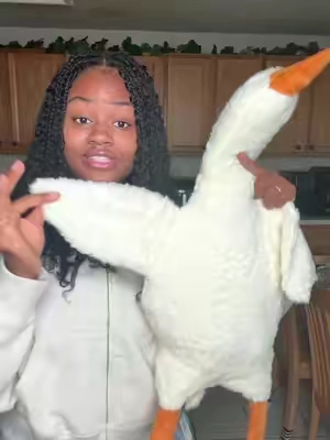 #stuffedanimal #goose #gooselover #plushie 