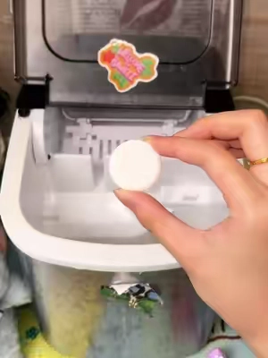 This ice maker interior is absolutely disgusting #icemaker #CleanTok #gross #ice #icemakercleaning 