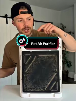 pet parents, you need one of these 😅 #airpurifier #allergies #pethairremoval #CleanTok #petparent 