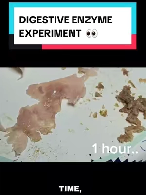 I was curious, so I tried a simple food demonstration with digestive enzymes 👀 This is only a visual experiment—not proof of what happens inside the body or a medical claim. Always take supplements only as directed on the label. Results and experiences may vary. #DigestiveEnzymes #ProbioticSupplement #SupplementRoutine #ProductDemonstration #BackToSchool 
