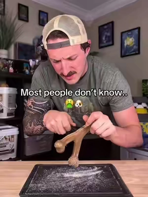 This was seriously shocking to learn about these bones… #dogfood #dog #dogs #dogtreats #pet 