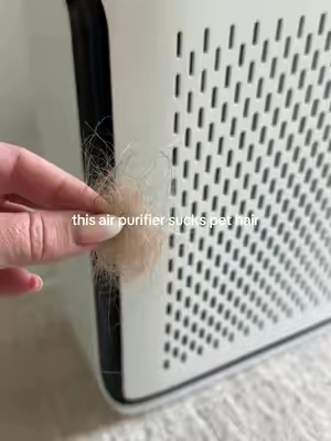 we love an air purifier that sucks pet hair @LEVOIT  #petairpurifier #airpurifier #levoitairpurifier 